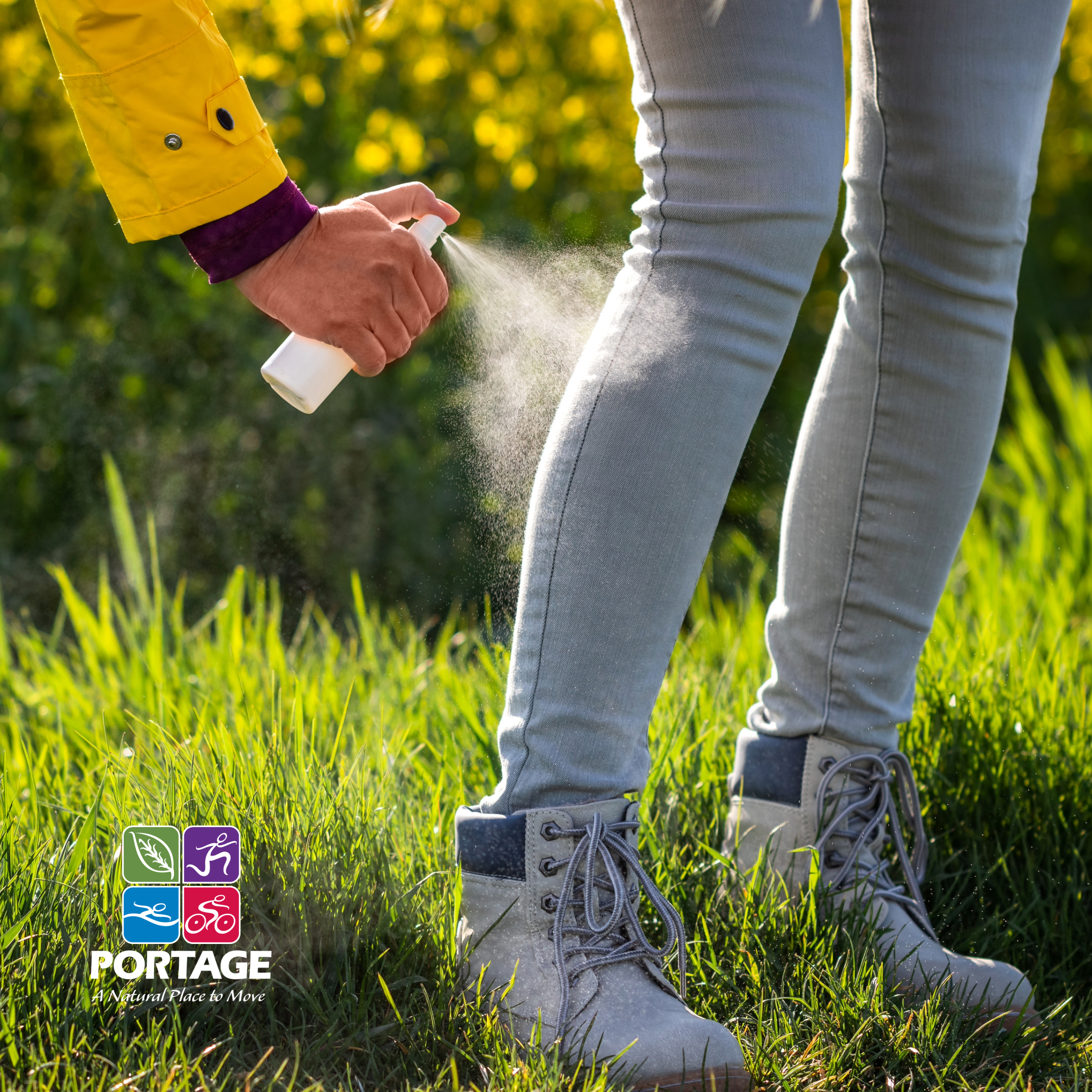 Mosquito Borne Illness